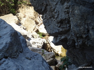 stoleone-09-08-2020 09